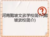 河南鹅坡文武学校简介(鹅坡武校简介)