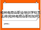 桂林电商谷职业培训学校怎么样(桂林电商谷职校如何)