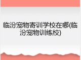 临汾宠物寄训学校在哪(临汾宠物训练校)