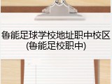 鲁能足球学校地址职中校区(鲁能足校职中)