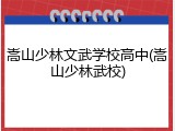 嵩山少林文武学校高中(嵩山少林武校)