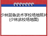 少林延鲁武术学校场地照片(少林武校场地图)