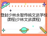 登封少林永智传统文武学校课程(少林文武课程)