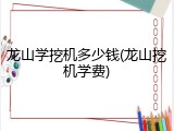 龙山学挖机多少钱(龙山挖机学费)