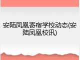安陆凤凰寄宿学校动态(安陆凤凰校讯)
