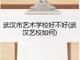 武汉市艺术学校好不好(武汉艺校如何)