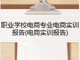 职业学校电商专业电商实训报告(电商实训报告)