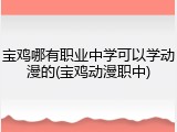 宝鸡哪有职业中学可以学动漫的(宝鸡动漫职中)