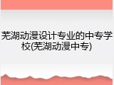 芜湖动漫设计专业的中专学校(芜湖动漫中专)