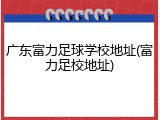 广东富力足球学校地址(富力足校地址)