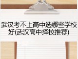 武汉考不上高中选哪些学校好(武汉高中择校推荐)