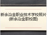 新余冶金职业技术学校照片(新余冶金职校图)
