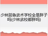 少林延鲁武术学校全是胖子吗(少林武校都胖吗)