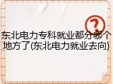 东北电力专科就业都分哪个地方了(东北电力就业去向)