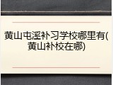 黄山屯溪补习学校哪里有(黄山补校在哪)