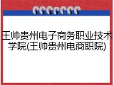 王帅贵州电子商务职业技术学院(王帅贵州电商职院)