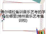 博尔塔拉集训音乐艺考的学校在哪里(博州音乐艺考集训校)