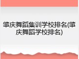 肇庆舞蹈集训学校排名(肇庆舞蹈学校排名)