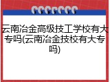 云南冶金高级技工学校有大专吗(云南冶金技校有大专吗)