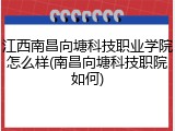 江西南昌向塘科技职业学院怎么样(南昌向塘科技职院如何)