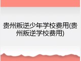 贵州叛逆少年学校费用(贵州叛逆学校费用)