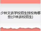 少林文武学校招生技校有哪些(少林武校招生)