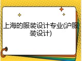 上海的服装设计专业(沪服装设计)