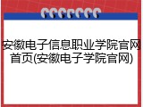 安徽电子信息职业学院官网首页(安徽电子学院官网)
