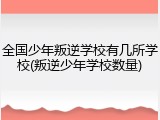 全国少年叛逆学校有几所学校(叛逆少年学校数量)
