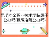 昆明冶金职业技术学院属于公办吗(昆明冶院公办吗)
