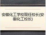 安徽化工学校现任校长(安徽化工校长)