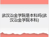 武汉冶金学院是本科吗(武汉冶金学院本科)