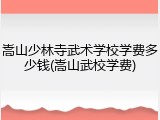 嵩山少林寺武术学校学费多少钱(嵩山武校学费)