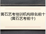 黄石艺考培训机构排名前十(黄石艺考前十)