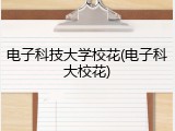 电子科技大学校花(电子科大校花)