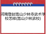 河南登封嵩山少林寺武术学校怎样(嵩山少林武校)