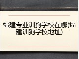 福建专业训狗学校在哪(福建训狗学校地址)