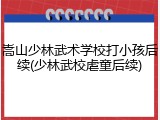 嵩山少林武术学校打小孩后续(少林武校虐童后续)