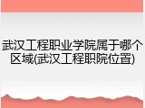 武汉工程职业学院属于哪个区域(武汉工程职院位置)