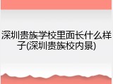 深圳贵族学校里面长什么样子(深圳贵族校内景)
