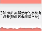 那曲集训舞蹈艺考的学校有哪些(那曲艺考舞蹈学校)