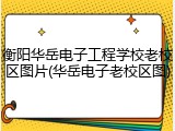 衡阳华岳电子工程学校老校区图片(华岳电子老校区图)