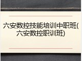 六安数控技能培训中职班(六安数控职训班)