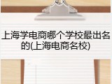 上海学电商哪个学校最出名的(上海电商名校)