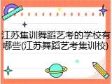 江苏集训舞蹈艺考的学校有哪些(江苏舞蹈艺考集训校)