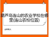 葫芦岛连山的农业学校在哪里(连山农校位置)