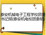 泰安机械电子工程学校团委书记胡(泰安机电校团委胡)