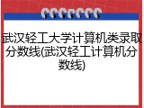 武汉轻工大学计算机类录取分数线(武汉轻工计算机分数线)