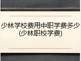 少林学校费用中职学费多少(少林职校学费)