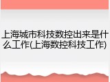 上海城市科技数控出来是什么工作(上海数控科技工作)